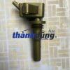 MÔ BIN ĐÁNH LỬA XE MG ZS