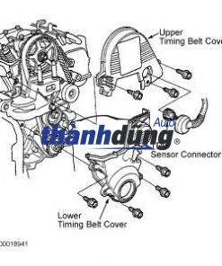 BƯỞNG CAM ĐỘNG CƠ FORD RAPTOR 2020 - Ảnh 4