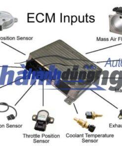 HỘP ĐEN ECU NISSAN NAVARA 2.5 2011 | 237105X30A - Ảnh 5