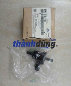 VAN HƠI XĂNG THỪA KIA SEDONA 2007-2013 | 289103E100