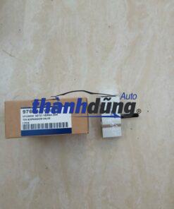 VAN TIẾT LƯU HYUNDAI GETZ 2009 | 976041C100